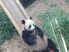 -大连森林动物园