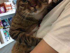 -安安宠医·安宠宠物医院