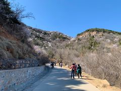 -北京西山国家森林公园