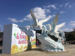 -白马涧龙池景区
