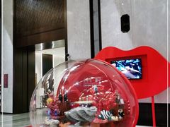 -上海世茂皇家艾美酒店
