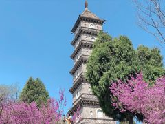 -天台山赤城山景区