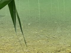 -雅鲁激流探险漂流