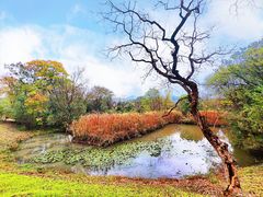 -西溪国家湿地公园