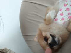 -怪兽屋·羊驼·猫咖·狗咖(俊华广场店)