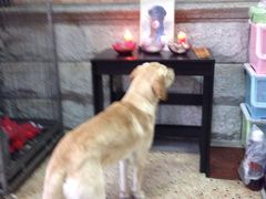 -骐奇宠物诊疗中心(南亭公路店)