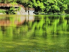 -龙湾潭国家森林公园