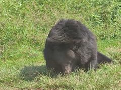-海南热带野生动植物园