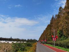 -上海长兴岛郊野公园