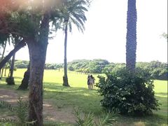 -鹅銮鼻公园
