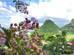 景点-英德宝晶宫天鹅湖茶语温泉