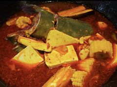 -鸽子刘铁锅炖鱼(劲松店)