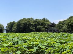 -茅家埠