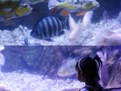 -左海海底世界