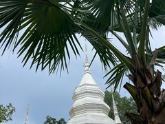 -西双版纳傣族园