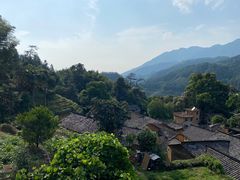 -杨家堂村