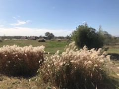 -良渚古城遗址公园