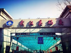 -武汉关码头(轮渡站)