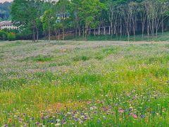 -仙海旅游度假区