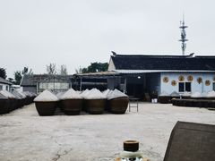 -苏州市吴中区光福窑上花果蜜饯厂