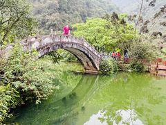 -靖西鹅泉风景区