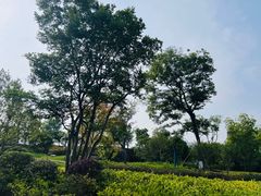 -临平南高铁站(地铁站)