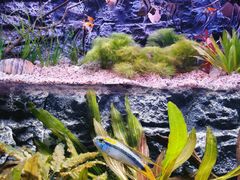 -上海海洋水族馆