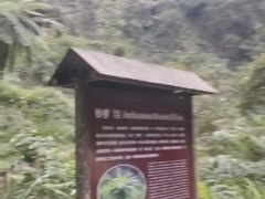 -长寿村