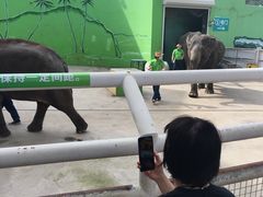 -大连森林动物园