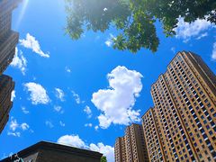 -绿地·中山里