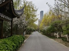 -桃花堤公园