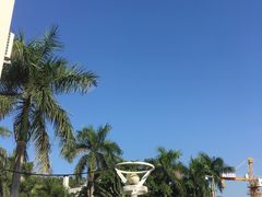 -中山大学附属第五医院