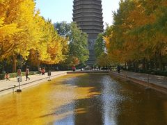 -玲珑塔公园
