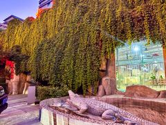 -兴芮温泉度假区