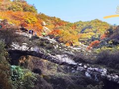 -秦岭风景区