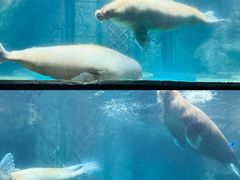 -波塞冬旅游度假区