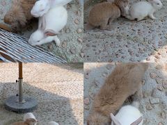 -珠海海泉湾度假区