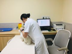 -谐和贝康宠物医院24小时·宠保定点(急重症转诊中心)