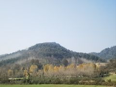 -千年银杏谷文化旅游区