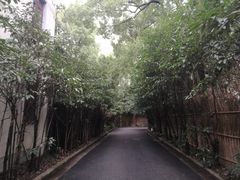 -橼舍鮨青木
