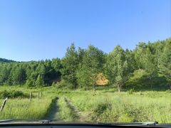 -莫尔道嘎国家森林公园
