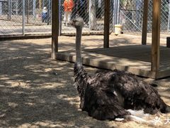 -长白岛森林公园