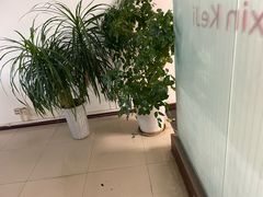 -蚂蚁搬家成都打包搬运公司