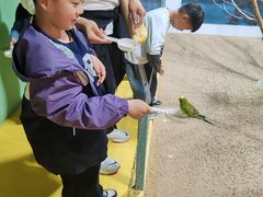 -上海大自然野生昆虫馆(东方明珠·爬宠昆虫探索中心)