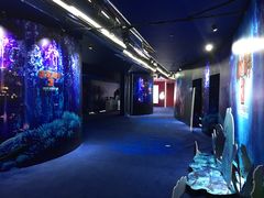 -SFC上影影城(港汇永华IMAX激光店)
