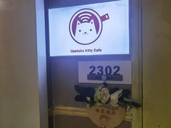 -楼上猫咖(罗湖店)