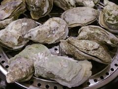-蚝专家(北滘店)