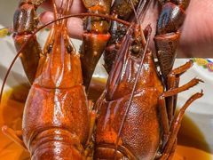 -新光酒家·河豚·海鲜·蟹料理(浦东店)
