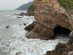 -杨梅坑