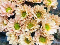 -鹿岛会员店 (龙湖三千集天街店)